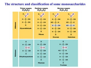 The structure and classification of some monosaccharides
 