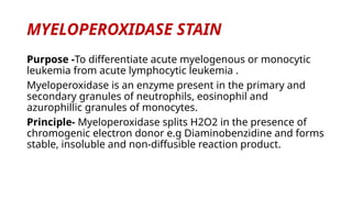 cytochem stain of leukemia.pptx detailed | PPTX