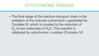 CYTOCHROME OXIDASE
• The final stage of the electron-transport chain is the
oxidation of the reduced cytochrome c generated by
Complex III, which is coupled to the reduction of
O2 to two molecules of H2O. This reaction is
catalyzed by cytochrome c oxidase (Complex IV).
 