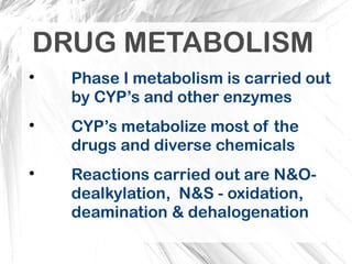 Comprehensive Overview of Cytochrome P450 Enzymes in Drug Metabolism ...