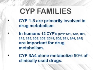 Comprehensive Overview of Cytochrome P450 Enzymes in Drug Metabolism ...