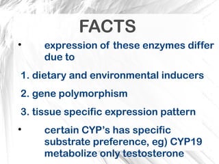 Comprehensive Overview of Cytochrome P450 Enzymes in Drug Metabolism ...