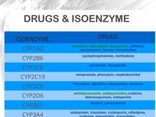 Comprehensive Overview of Cytochrome P450 Enzymes in Drug Metabolism ...