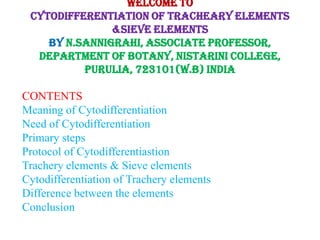 Welcome to
Cytodifferentiation of tracheary elements
&sieve elements
By N.Sannigrahi, Associate Professor,
Department of Botany, Nistarini College,
Purulia, 723101(W.B) India
CONTENTS
Meaning of Cytodifferentiation
Need of Cytodifferentiation
Primary steps
Protocol of Cytodifferentiastion
Trachery elements & Sieve elements
Cytodifferentiation of Trachery elements
Difference between the elements
Conclusion
 