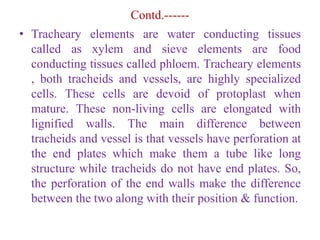 Contd.------
• Tracheary elements are water conducting tissues
called as xylem and sieve elements are food
conducting tissues called phloem. Tracheary elements
, both tracheids and vessels, are highly specialized
cells. These cells are devoid of protoplast when
mature. These non-living cells are elongated with
lignified walls. The main difference between
tracheids and vessel is that vessels have perforation at
the end plates which make them a tube like long
structure while tracheids do not have end plates. So,
the perforation of the end walls make the difference
between the two along with their position & function.
 