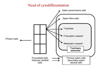 Need of cytodifferentiation
 