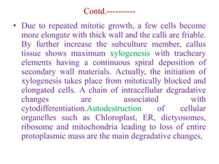 Contd.----------
• Due to repeated mitotic growth, a few cells become
more elongate with thick wall and the calli are friable.
By further increase the subculture member, callus
tissue shows maximum xylogenesis with tracheary
elements having a continuous spiral deposition of
secondary wall materials. Actually, the initiation of
xylogenesis takes place from mitotically blocked and
elongated cells. A chain of intracellular degradative
changes are associated with
cytodifferentiation.Autodestruction of cellular
organelles such as Chloroplast, ER, dictyosomes,
ribosome and mitochondria leading to loss of entire
protoplasmic mass are the main degradative changes.
 