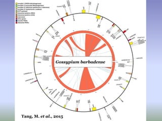 Gossypium barbadense
Tang, M. et al., 2015
 