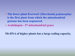  The lower plant liverwort (Marchantia polymorpha)
is the first plant from which the mitochondrial
genome has been sequenced.
 Arabidopsis - 57 mitochondrial genes
Mt-DNA of higher plants has a large coding capacity.
 