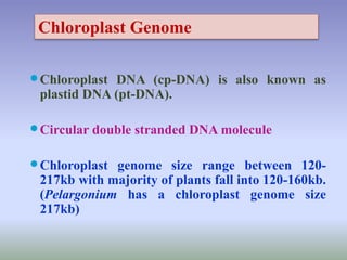 Chloroplast DNA (cp-DNA) is also known as
plastid DNA (pt-DNA).
Circular double stranded DNA molecule
Chloroplast genome size range between 120-
217kb with majority of plants fall into 120-160kb.
(Pelargonium has a chloroplast genome size
217kb)
Chloroplast Genome
 