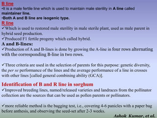 B line
•It is a male fertile line which is used to maintain male sterility in A line called
maintainer line.
•Both A and B line are isogenic type.
R line
Which is used to restored male sterility in male sterile plant, used as male parent in
hybrid seed production.
Produced F1 fertile progeny which called hybrid.
A and B-lines:
Production of A and B-lines is done by growing the A-line in four rows alternating
with the corresponding B-line in two rows.
Three criteria are used in the selection of parents for this purpose: genetic diversity,
the per se performance of the lines and the average performance of a line in crosses
with other lines [called general combining ability (GCA)].
Identification of B and R line in sorghum
Improved breeding lines, named/released varieties and landraces from the pollinator
collection are the sources that can be used as pollen parents or pollinators.
more reliable method is the bagging test, i.e., covering 4-6 panicles with a paper bag
before anthesis, and observing the seed-set after 2-3 weeks.
Ashok Kumar, et al.
 