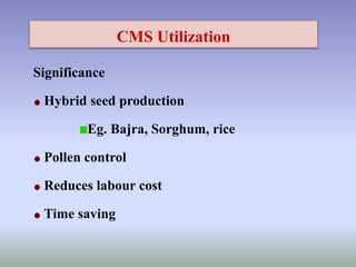 CMS Utilization
Significance
Hybrid seed production
Eg. Bajra, Sorghum, rice
Pollen control
Reduces labour cost
Time saving
 