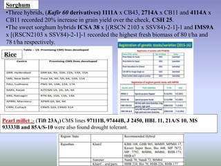 Pearl millet :- (Tift 23A1) CMS lines 97111B, 97444B, J 2450, HBL 11, 21A/S 10, MS
93333B and 85A/S-10 were also found drought tolerant.
•Three hybrids, (Kafir 60 derivatives) 1111A x CB43, 2714A x CB11 and 4114A x
CB11 recorded 20% increase in grain yield over the check, CSH 25.
•The sweet sorghum hybrids ICSA 38 x [(RSCN 2103 x SSV84)-2-1]-1 and IMS9A
x [(RSCN2103 x SSV84)-2-1]-1 recorded the highest fresh biomass of 80 t/ha and
78 t/ha respectively.
Rice
Sorghum
 