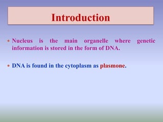 Introduction
 Nucleus is the main organelle where genetic
information is stored in the form of DNA.
 DNA is found in the cytoplasm as plasmone.
 