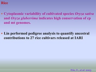 Frie, U., et al. 2003
Rice
 Cytoplasmic variability of cultivated species Oryza sativa
and Oryza glaberrima indicates high conservation of cp
and mt genomes.
 Lin performed pedigree analysis to quantify ancestral
contributions to 27 rice cultivars released at IARI
 