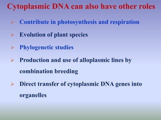 Cytoplasmic DNA can also have other roles
 Contribute in photosynthesis and respiration
 Evolution of plant species
 Phylogenetic studies
 Production and use of alloplasmic lines by
combination breeding
 Direct transfer of cytoplasmic DNA genes into
organelles
 