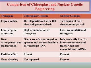 Comparison of Chloroplast and Nuclear Genetic
Engineering
Transgene Chloroplast Genome Nuclear Genome
Copy number 10-100 plastid/cell with 100
identical genome/plastid
Two copies of each
chromosome per cell
Level of gene
expression
High accumulation of
transgenes
Less accumulation of
transgenes
Gene
arrangement and
transcription
Genes are often arranged in
operons and transcribed into
polycistronic RNA
Independently inserted
into chromosome and
transcribed into
monocistronic mRNA
Position effect Absent Present
Gene silencing Not reported Present
 