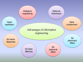 Advantages of chloroplast
engineering
Multigene
engineering
Hyper
expression
No Vector
Sequences
NoGene
Silencing
No
positional
Effect
No
pleiotropic
Effect
Gene
containment
Maternal
Inheritance
 