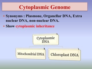 Cytoplasmic Genome
 Synonyms : Plasmone, Organellar DNA, Extra
nuclear DNA, non-nuclear DNA.
 Show cytoplasmic inheritance
 