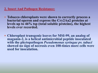 2. Insect And Pathogen Resistance:
 Tobacco chloroplasts were shown to correctly process a
bacterial operon and express the Cry2Aa2 proteins at
levels up to 46% tsp (total soluble proteins), the highest
levels ever recorded.
 Chloroplast transgenic leaves for MSI-99, an analog of
maganin-2, is a helical antimicrobial peptide inoculated
with the phytopathogen Pseudomonas syringae pv. tabaci
showed no sign of necrosis even 100-times more cells were
used for inoculation.
 