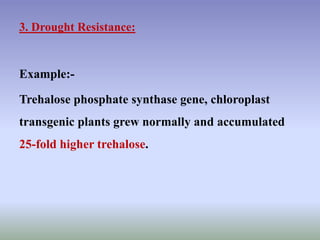 3. Drought Resistance:
Example:-
Trehalose phosphate synthase gene, chloroplast
transgenic plants grew normally and accumulated
25-fold higher trehalose.
 