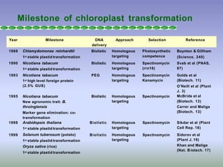 Milestone of chloroplast transformation
New agronomic trait: B.
thruingiensis
Marker gene elimination: co-
transformation
targeting
Year Milestone DNA
delivery
Approach Selection Reference
1988 Chlamydomonas reinhardtii Biolistic Homologous Photosynthetic Boynton & Gillham
1st stable plastid transformation targeting competence (Science, 240)
1990 Nicotiana tabacum Biolistic Homologous Spectinomycin Svab et al (PNAS,
1st stable plastid transformation targeting (rrn16) 87)
1993 Nicotiana tabacum PEG Homologous Spectinomycin Golds et al
1st high level foreign protein
(2.5% GUS)
targeting Kanamycin (Biotech. 11)
O’Neill et al (Plant
1995 Nicotiana tabacum Biolistic Homologous Spectinomycin
J. 3)
McBride et al
(Biotech. 13)
Carrer and Maliga
(Biotech. 13)
1st stable plastid transformation
Oryza sativa (rice)
1st stable plastid transformation
targeting
1998 Arabidopsis thaliana Biolistic Homologous Spectinomycin Sikdar et al (Plant
1999
1st stable plastid transformation
Solanum tuberosum (potato) Biolistic
targeting
Homologous Spectinomycin
Cell Rep. 18)
Sidorov et al
(Plant J. 19)
Khan and Maliga
(Nat. B iotech. 17)
 