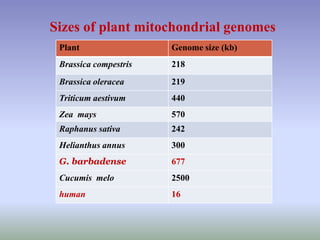 Plant Genome size (kb)
Brassica compestris 218
Brassica oleracea 219
Triticum aestivum 440
Zea mays 570
Raphanus sativa 242
Helianthus annus 300
G. barbadense 677
Cucumis melo 2500
human 16
Sizes of plant mitochondrial genomes
 