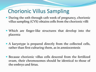 Chorionic Villus Sampling
 During the 10th through 12th week of pregnancy, chorionic
villus sampling (CVS) obtains cells from the chorionic villi
 Which are finger-like structures that develop into the
placenta
 A karyotype is prepared directly from the collected cells,
rather than first culturing them, as in amniocentesis
 Because chorionic villus cells descend from the fertilized
ovum, their chromosomes should be identical to those of
the embryo and fetus.
 