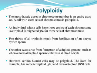 Polyploidy
 The most drastic upset in chromosome number is an entire extra
set. A cell with extra sets of chromosomes is polyploid.
 An individual whose cells have three copies of each chromosome
is a triploid (designated 3N, for three sets of chromosomes).
 Two-thirds of all triploids result from fertilization of an oocyte
by two sperm
 The other cases arise from formation of a diploid gamete, such as
when a normal haploid sperm fertilizes a diploid oocyte
 However, certain human cells may be polyploid. The liver, for
example, has some tetraploid (4N) and even octaploid (8N) cells
 