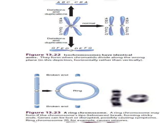 Cytogenetic analysis