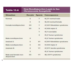 Cytogenetic analysis
