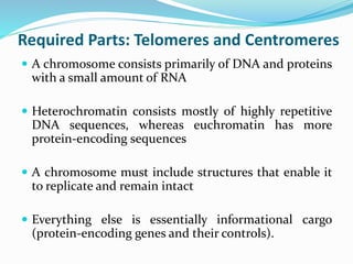 Required Parts: Telomeres and Centromeres
 A chromosome consists primarily of DNA and proteins
with a small amount of RNA
 Heterochromatin consists mostly of highly repetitive
DNA sequences, whereas euchromatin has more
protein-encoding sequences
 A chromosome must include structures that enable it
to replicate and remain intact
 Everything else is essentially informational cargo
(protein-encoding genes and their controls).
 