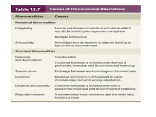 Cytogenetic analysis