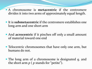  A chromosome is metacentric if the centromere
divides it into two arms of approximately equal length.
 It is submetacentric if the centromere establishes one
long arm and one short arm
 And acrocentric if it pinches off only a small amount
of material toward one end
 Telocentric chromosomes that have only one arm, but
humans do not.
 The long arm of a chromosome is designated q, and
the short arm p ( p stands for “petite”).
 