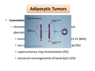 Tissue Rearrangement Arm Cytogenetic and molecular pathology of soft tissue tumours | PPTX