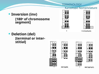 Cytogenetic Examination of Leukemia.pptx