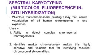 Cytogenetics in diagnosis of disease | PPTX
