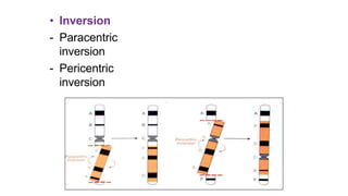 Cytogenetics in diagnosis of disease | PPTX