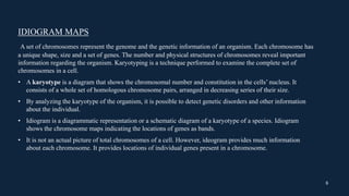 CYTOGENETIC MAP................ ppt.pptx