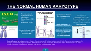 Cytogenetic Nomenclature & abbreviations | PPTX