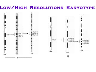 7 18 Low/High  Resolutions  Karyotype 