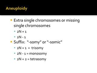 Extra single chromosomes or missing single chromosomes 2N + 1 2N - 1 Suffix:  “-somy” or “-somic” 2N + 1  =  trisomy 2N - 1 = monosomy 2N + 2 = tetrasomy 