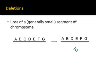 Loss of a (generally small) segment of chromosome A  B  C  D  E  F  G A  B  D  E  F  G C 