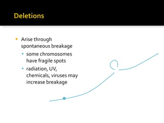 Arise through spontaneous breakage some chromosomes have fragile spots radiation, UV, chemicals, viruses may increase breakage 