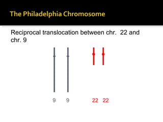 Reciprocal translocation between chr.  22 and  chr. 9 9  9   22  22  