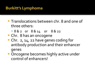 Translocations between chr. 8 and one of three others: 8 & 2  or  8 & 14  or  8 & 22 Chr.  8 has an oncogene Chr.  2, 14, 22 have genes coding for antibody production and their enhancer genes Oncogene becomes highly active under control of enhancers! 