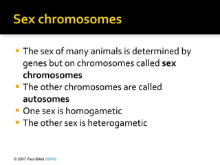 The sex of many animals is determined by genes but on chromosomes called  sex chromosomes The other chromosomes are called  autosomes One sex is homogametic The other sex is heterogametic © 2007 Paul Billiet  ODWS 