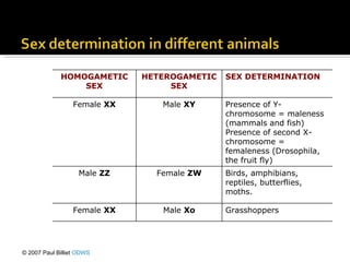 © 2007 Paul Billiet  ODWS HOMOGAMETIC SEX HETEROGAMETIC SEX SEX DETERMINATION Female  XX Male  XY Presence of Y-chromosome = maleness (mammals and fish) Presence of second X-chromosome = femaleness (Drosophila, the fruit fly) Male  ZZ Female  ZW Birds, amphibians, reptiles, butterflies, moths. Female  XX Male  Xo Grasshoppers 
