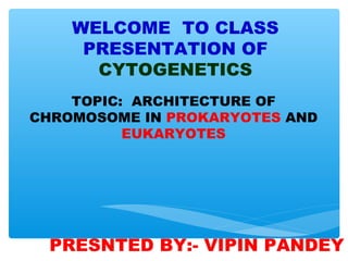 TOPIC: ARCHITECTURE OF
CHROMOSOME IN PROKARYOTES AND
EUKARYOTES
WELCOME TO CLASS
PRESENTATION OF
CYTOGENETICS
PRESNTED BY:- VIPIN PANDEY
 