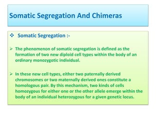 Cytogenetics